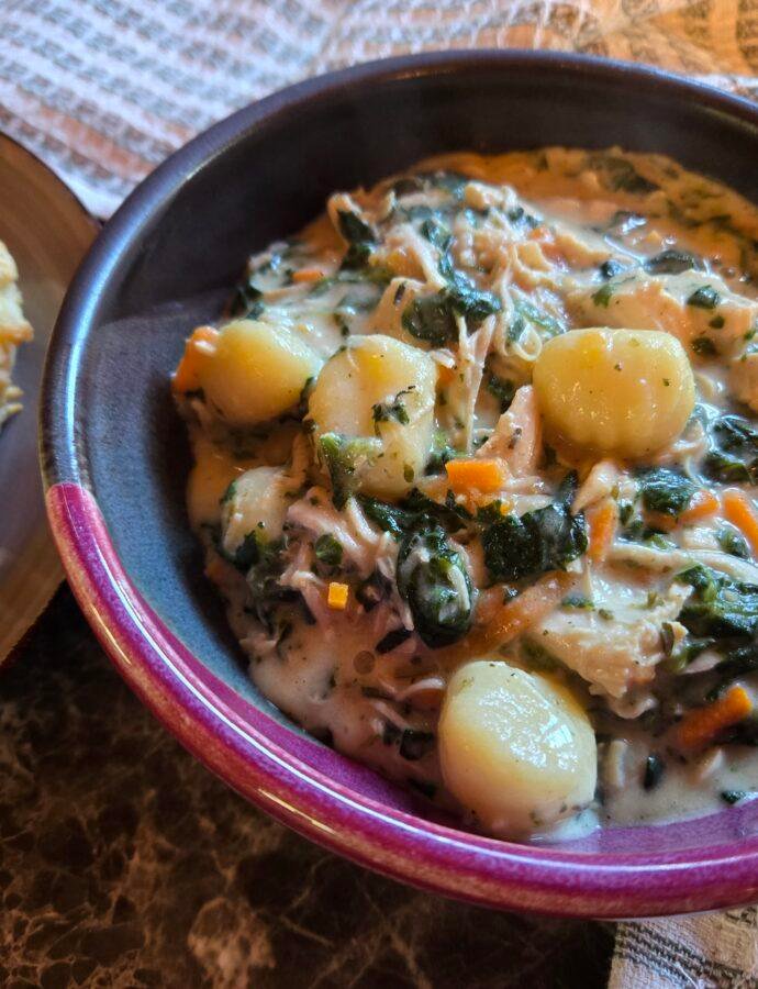 Hearty Chicken Gnocchi Soup